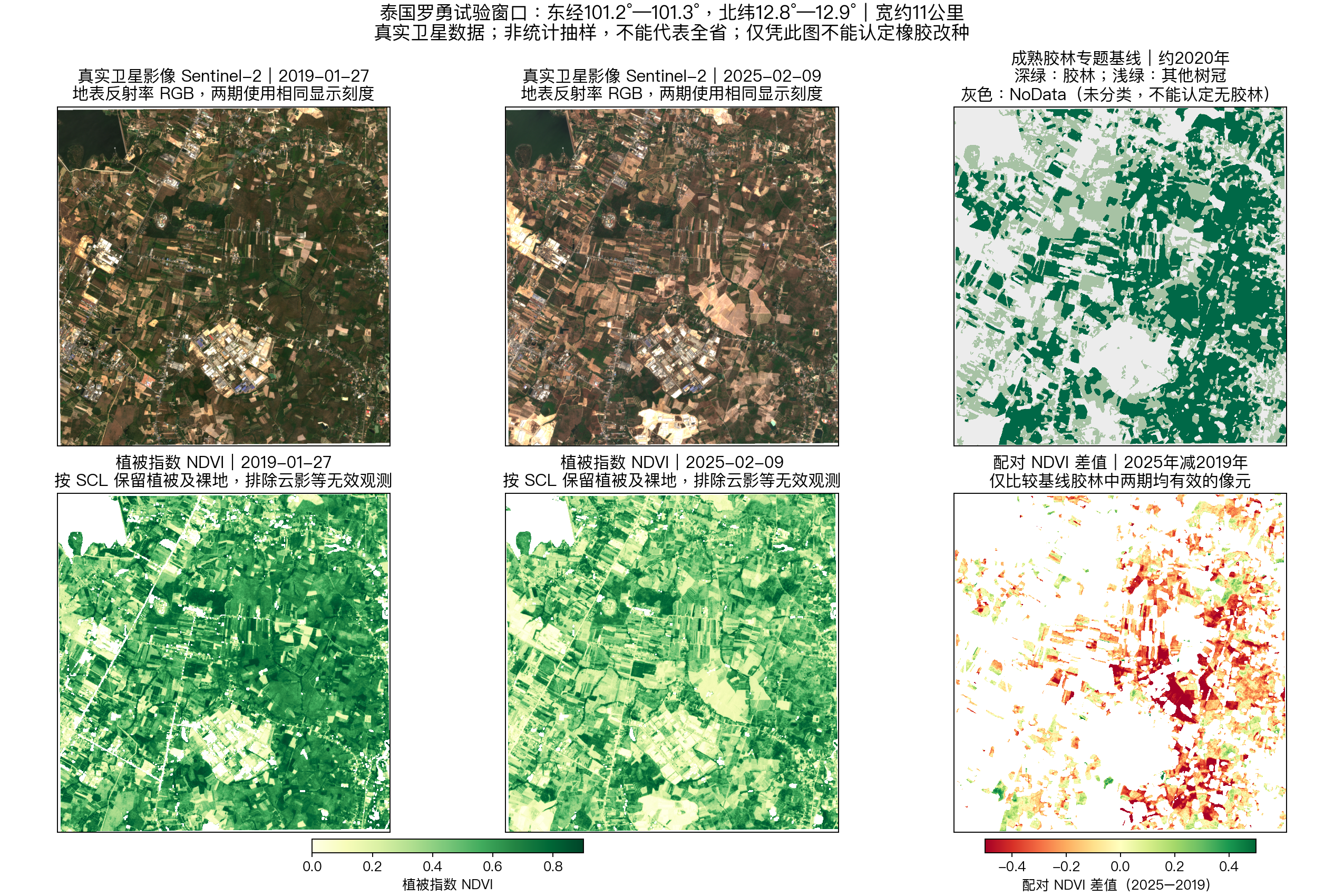 2019年1月27日、2025年2月9日真实Sentinel-2影像，约2020胶林底图与配对植被指数；红色下降不能认定改种